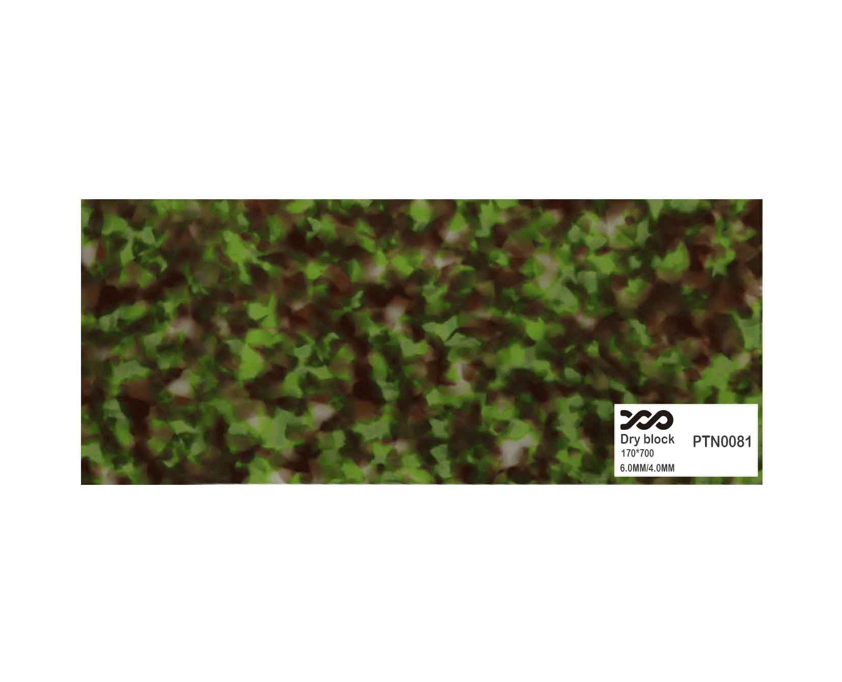 PTN0081